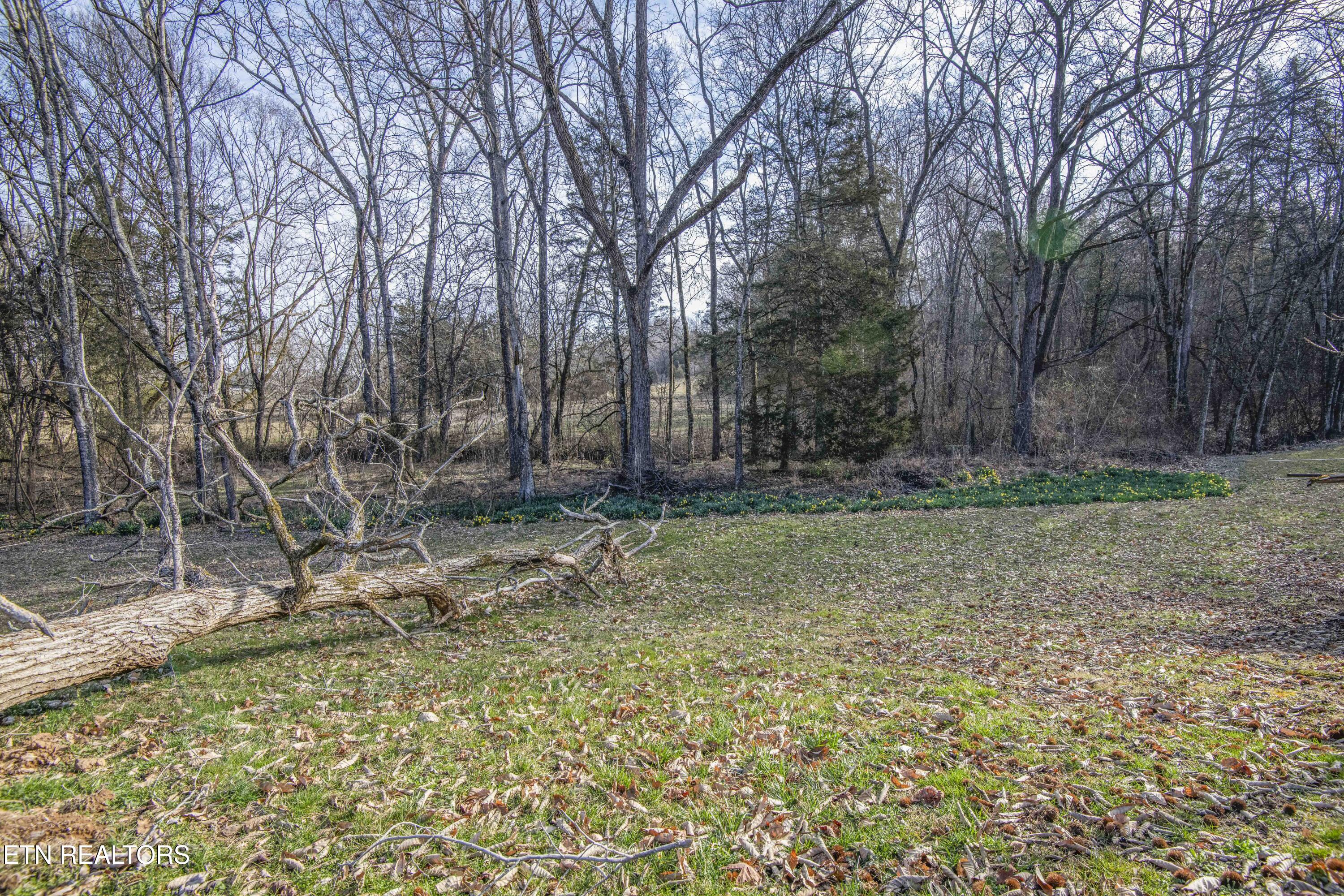259 Sherman Road Ten Mile, TN 37880 - Photo 26 of 51 ground 9_1