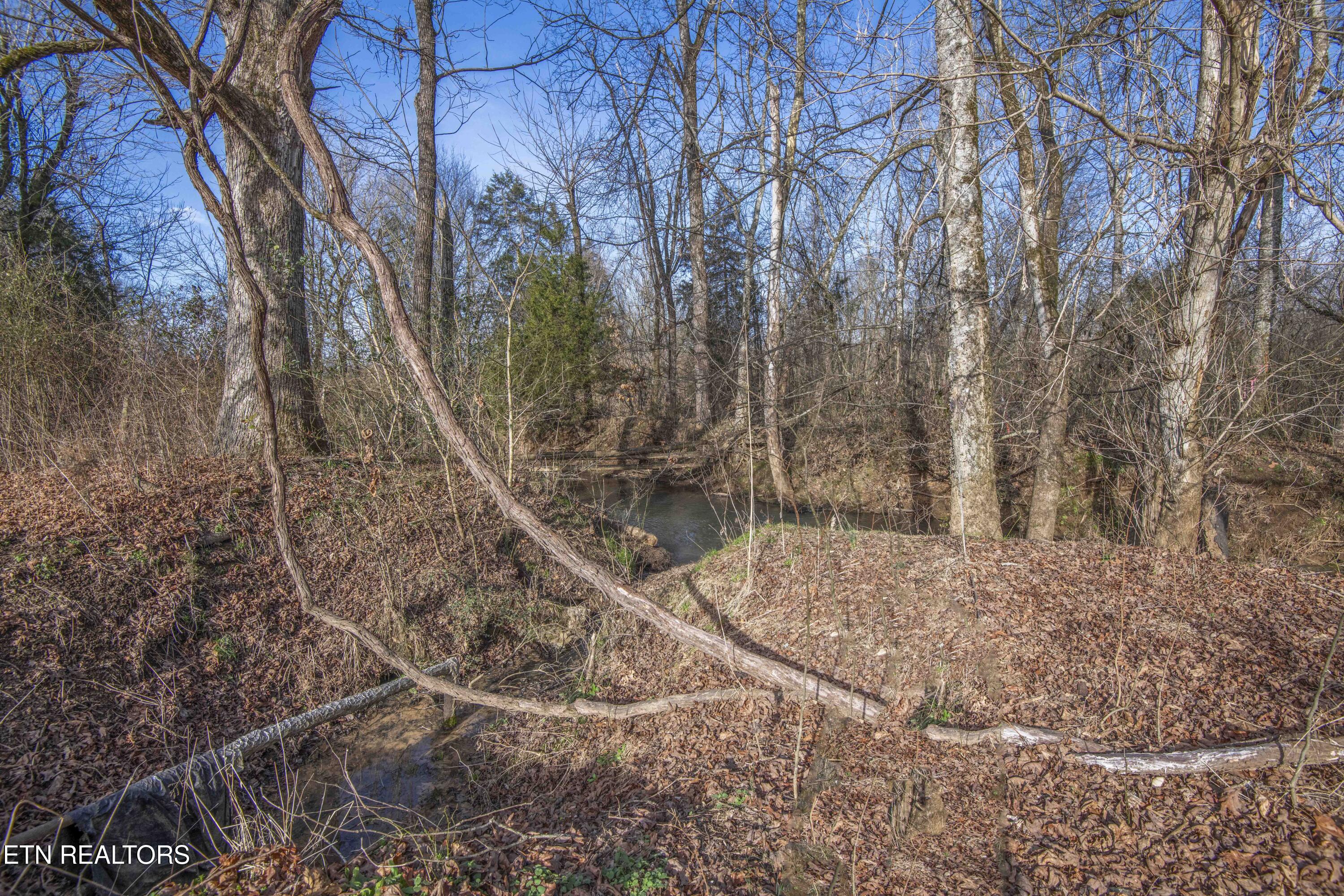 259 Sherman Road Ten Mile, TN 37880 - Photo 27 of 51 ground 10_1