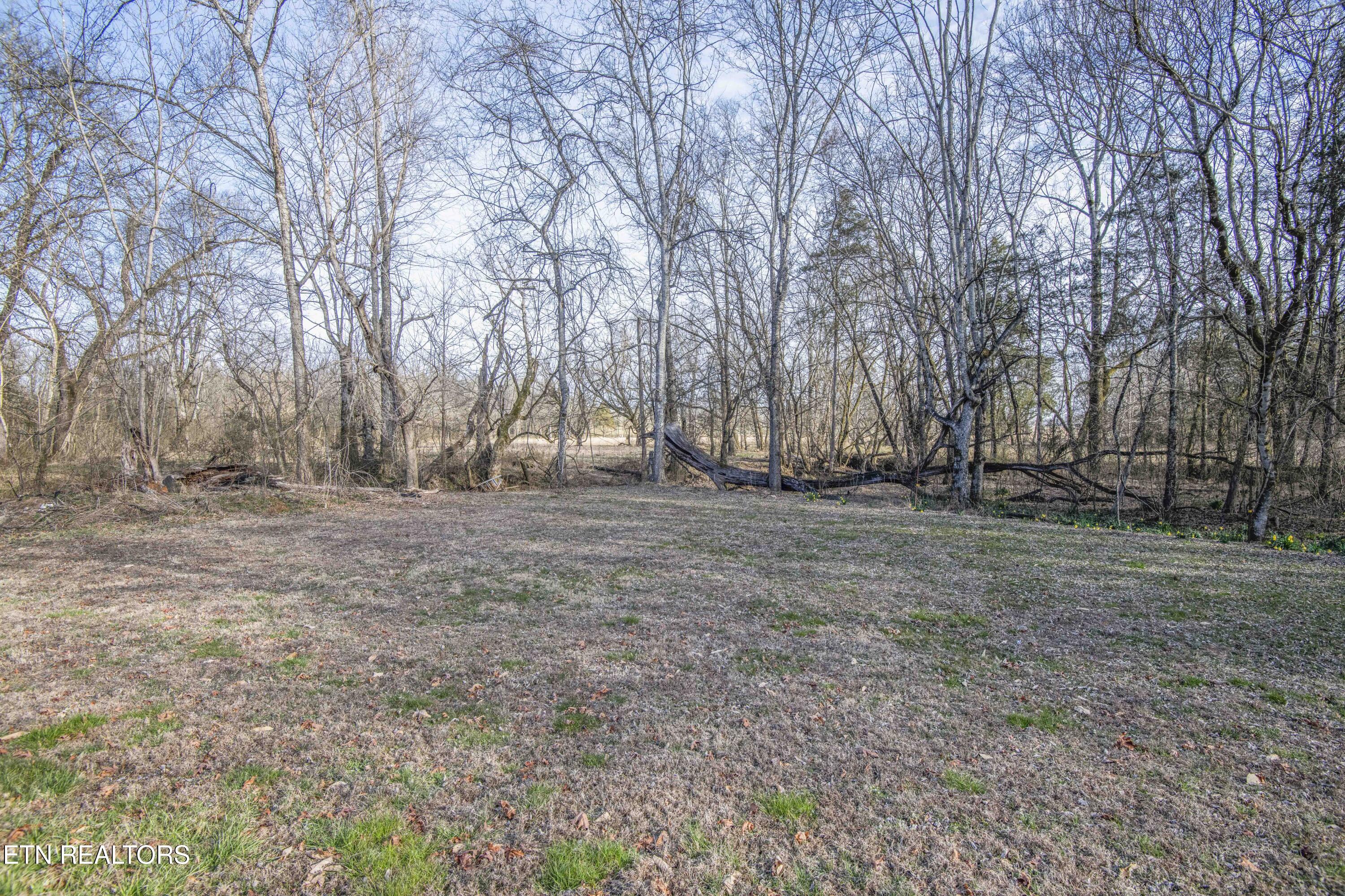 259 Sherman Road Ten Mile, TN 37880 - Photo 28 of 51 ground 14_1
