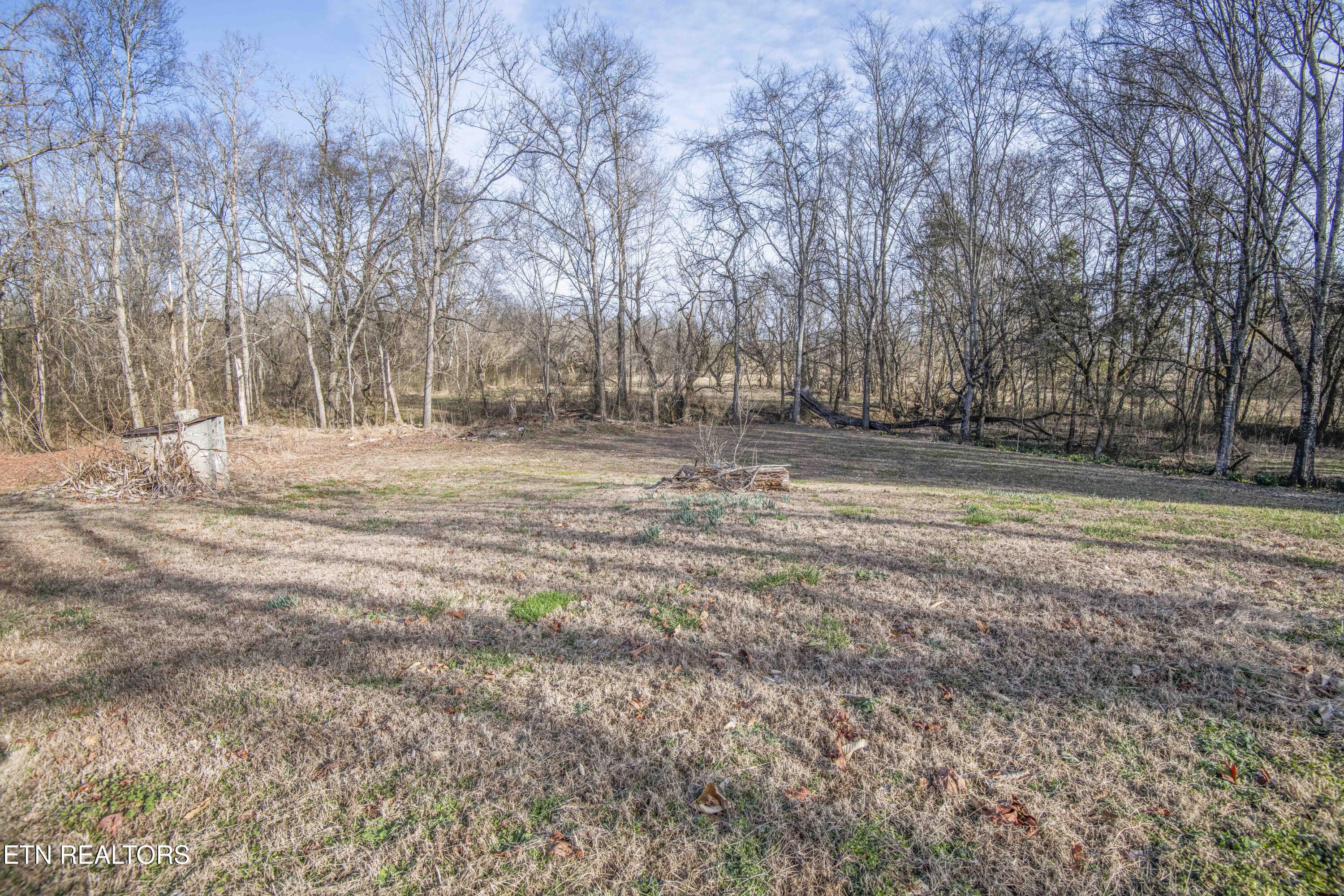 259 Sherman Road Ten Mile, TN 37880 - Photo 29 of 51 ground 15_1