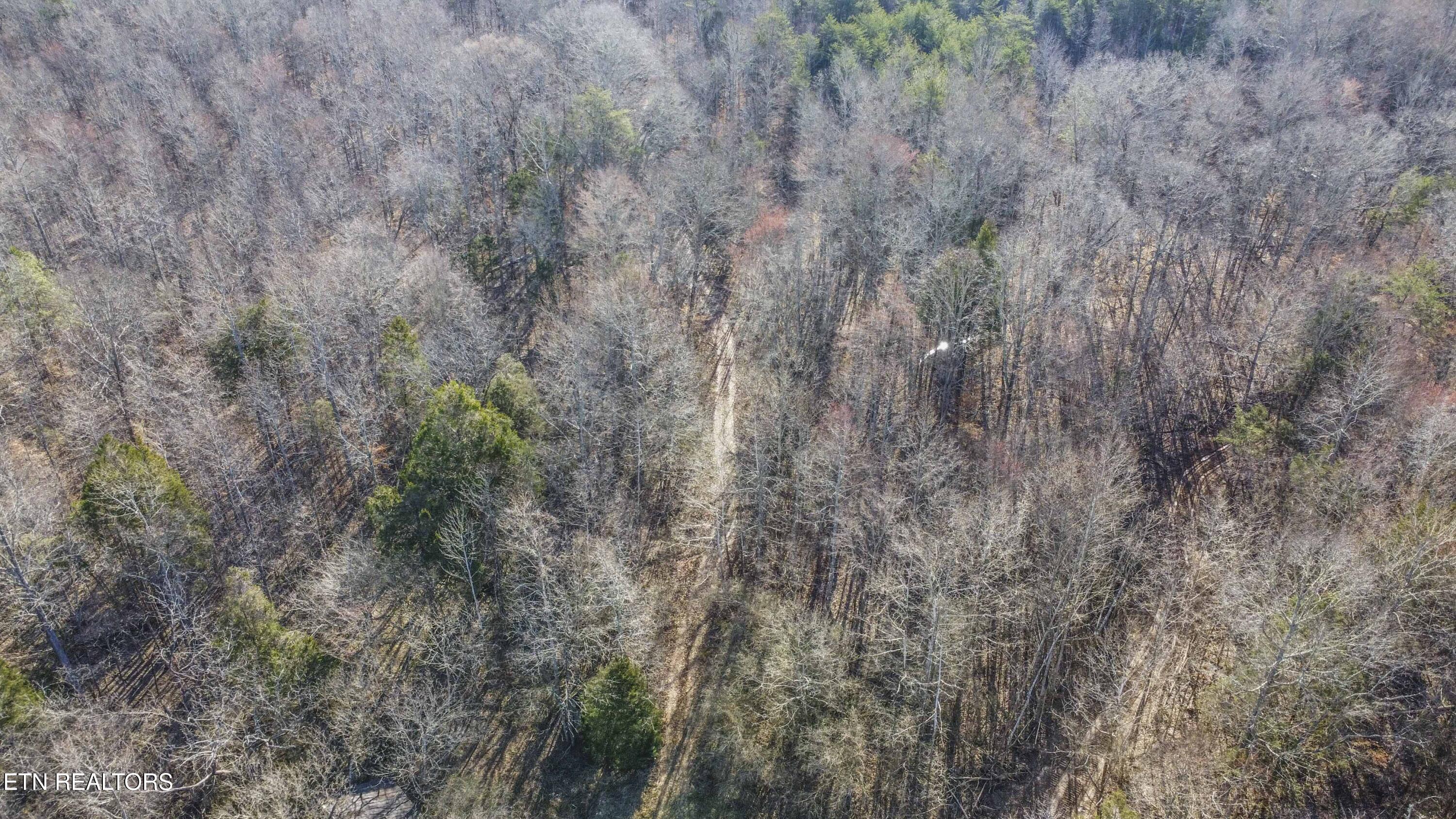 259 Sherman Road Ten Mile, TN 37880 - Photo 33 of 51 drone_1