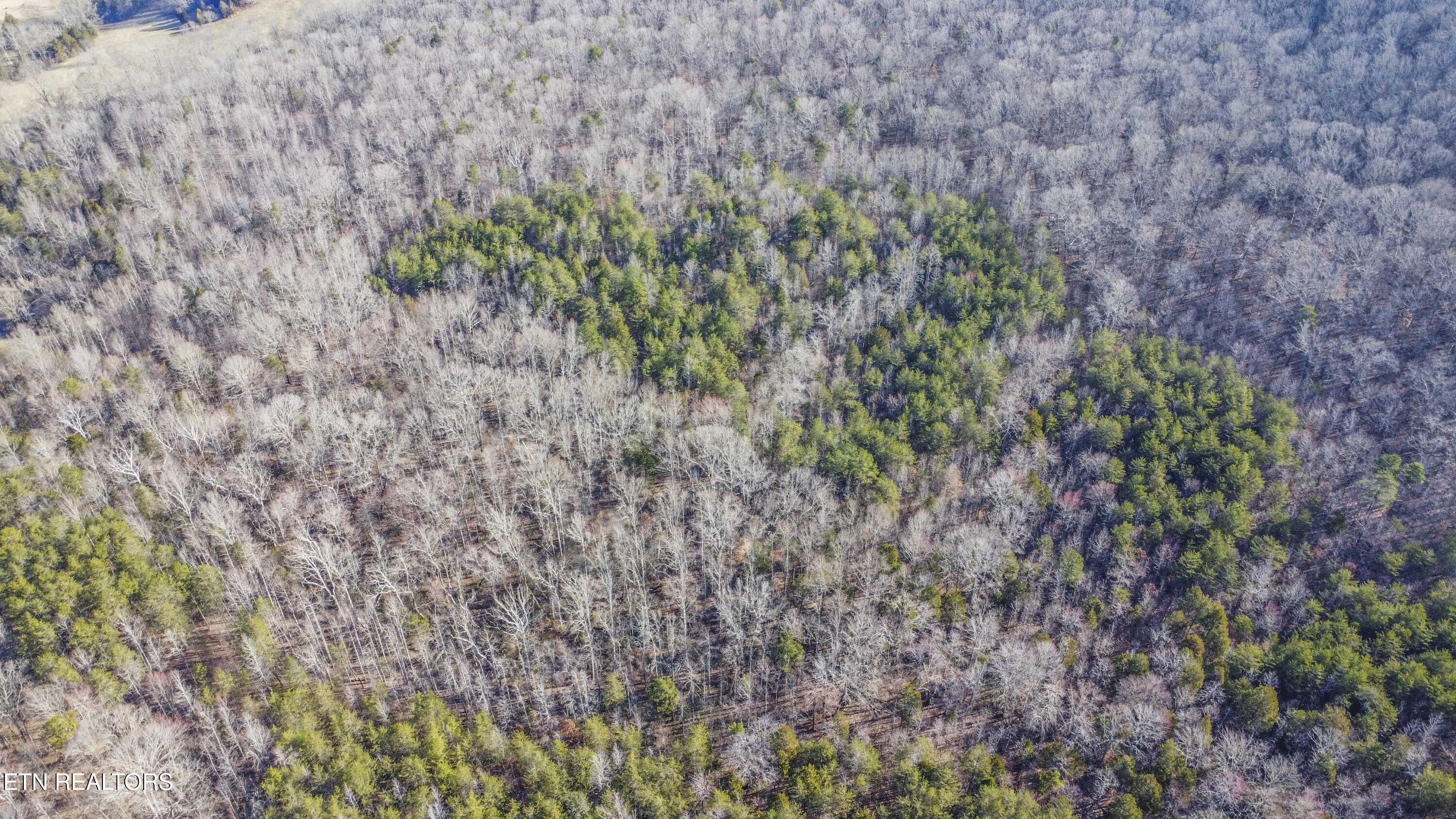 259 Sherman Road Ten Mile, TN 37880 - Photo 37 of 51 drone 8_1
