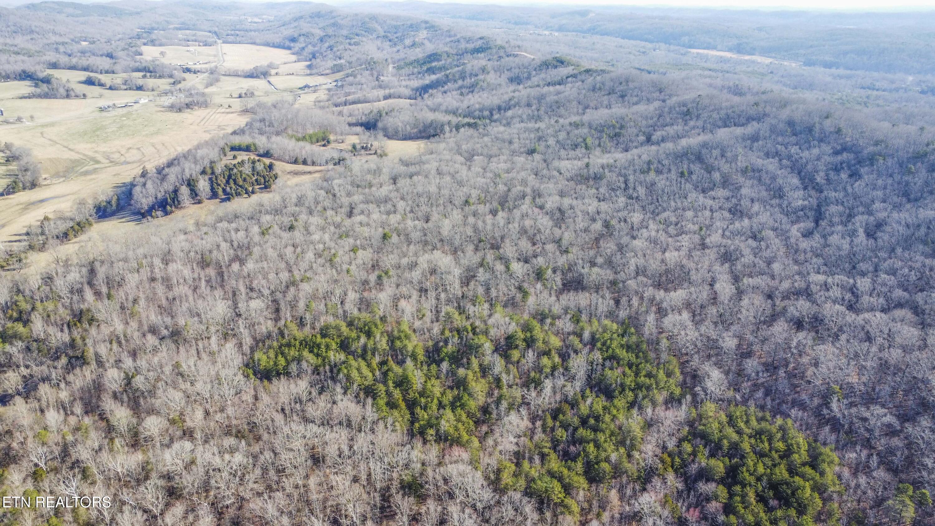 259 Sherman Road Ten Mile, TN 37880 - Photo 38 of 51 droe 9_1