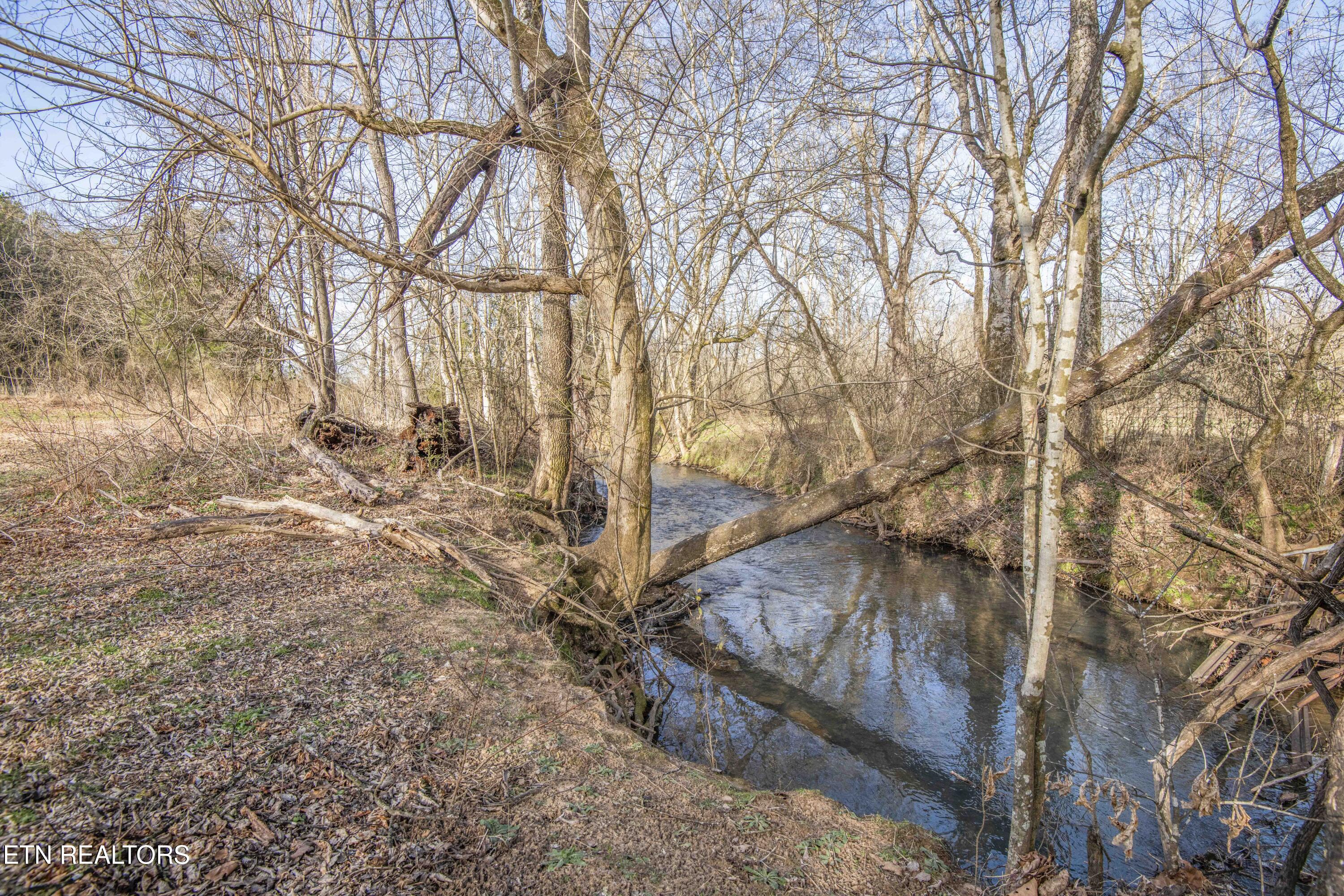 259 Sherman Road Ten Mile, TN 37880 - Photo 4 of 51 ground 12_1