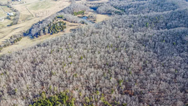 $725,000 | 259 Sherman Road, Ten Mile, TN 37880