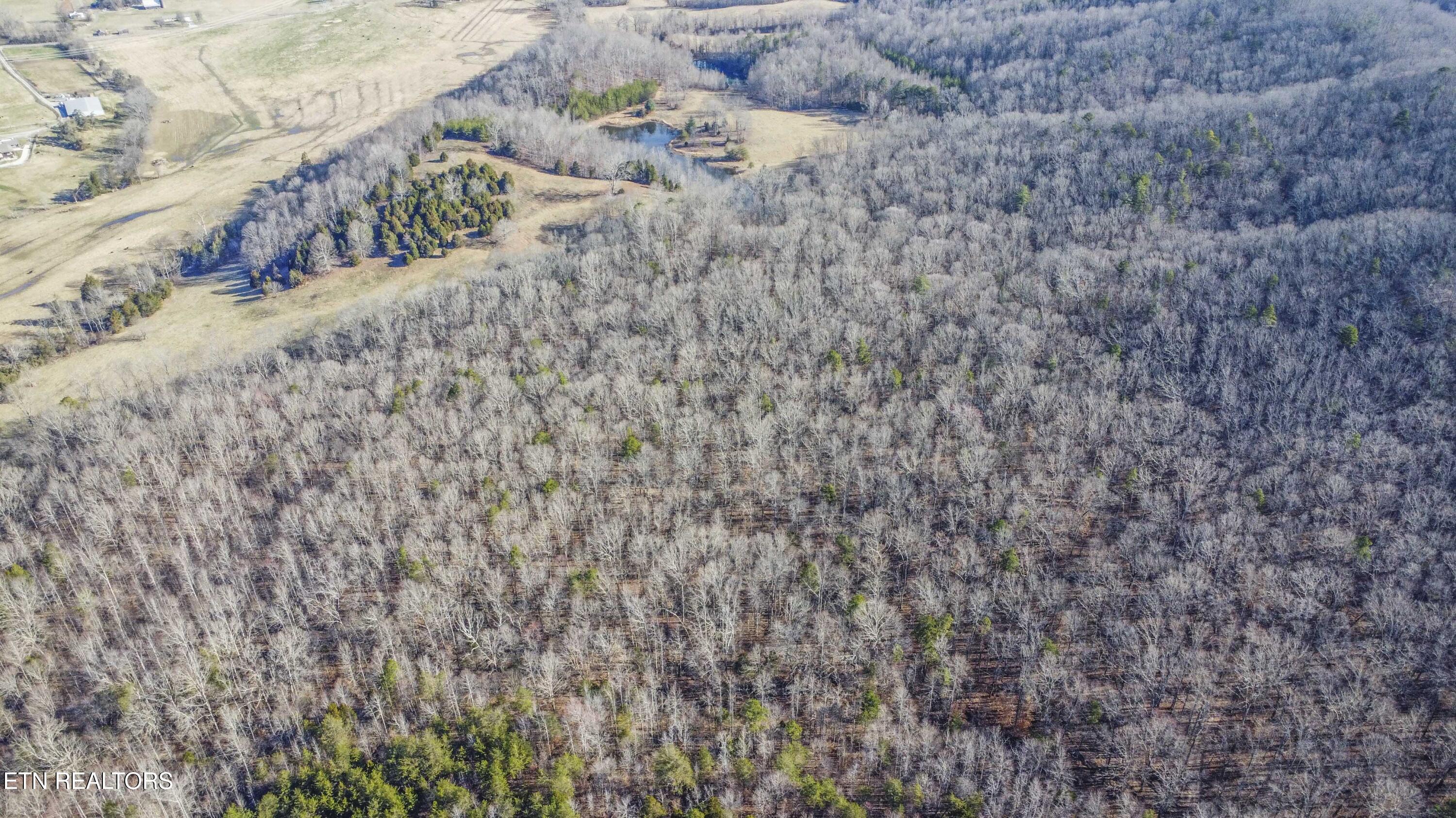 259 Sherman Road Ten Mile, TN 37880 - Photo 42 of 51 drone 14_1
