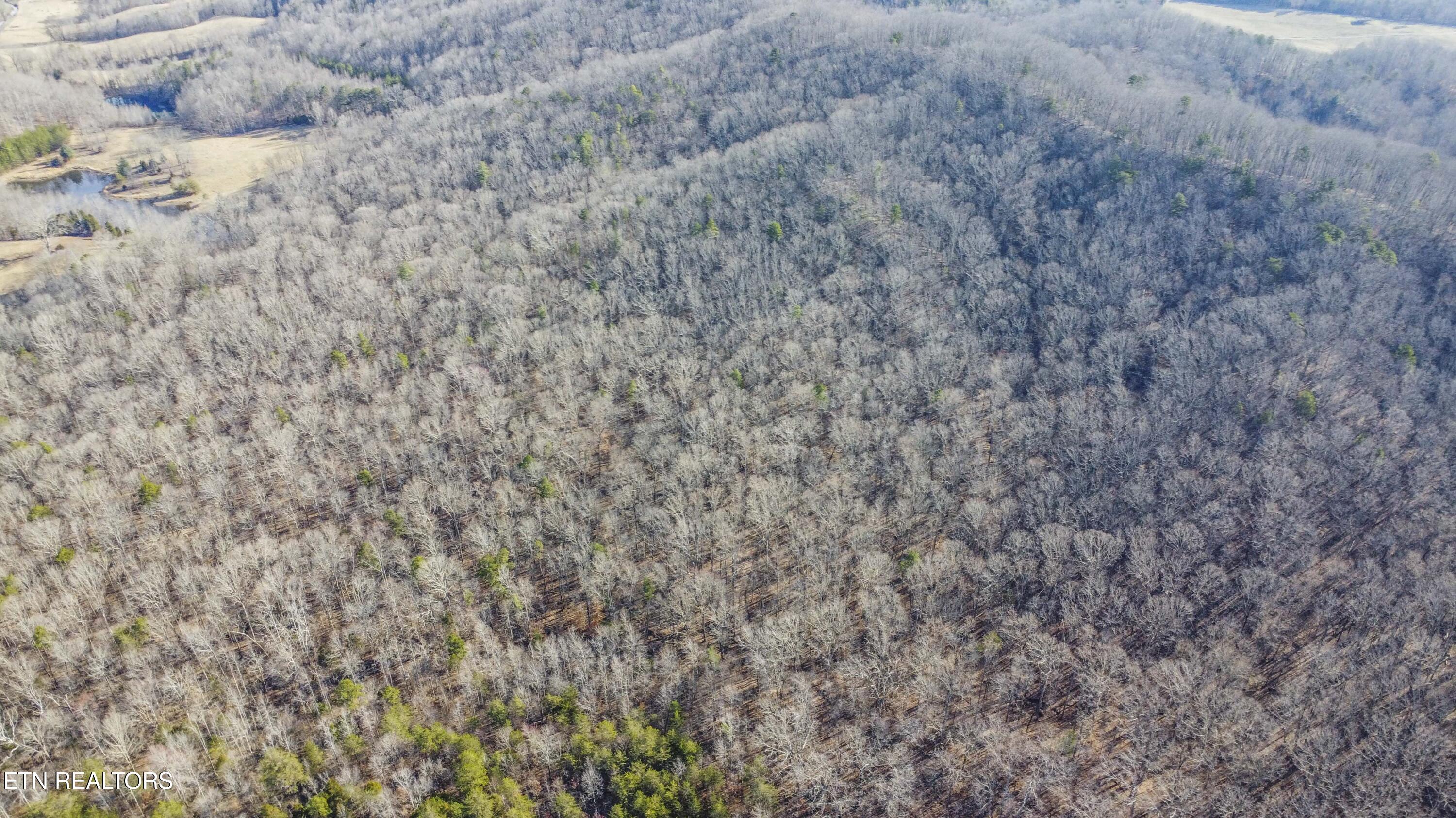 259 Sherman Road Ten Mile, TN 37880 - Photo 43 of 51 drone 13_1