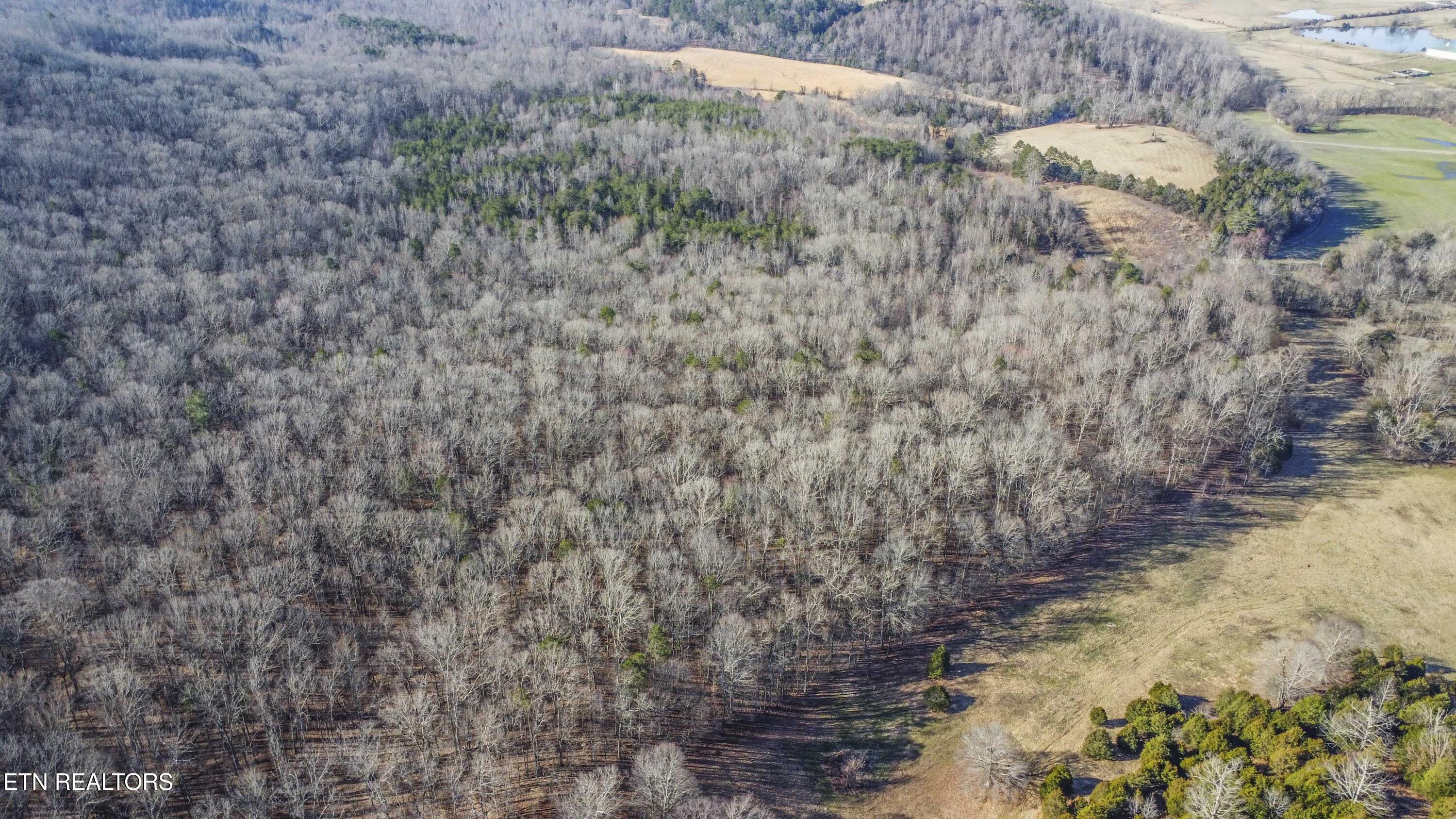 259 Sherman Road Ten Mile, TN 37880 - Photo 44 of 51 drone 17_1