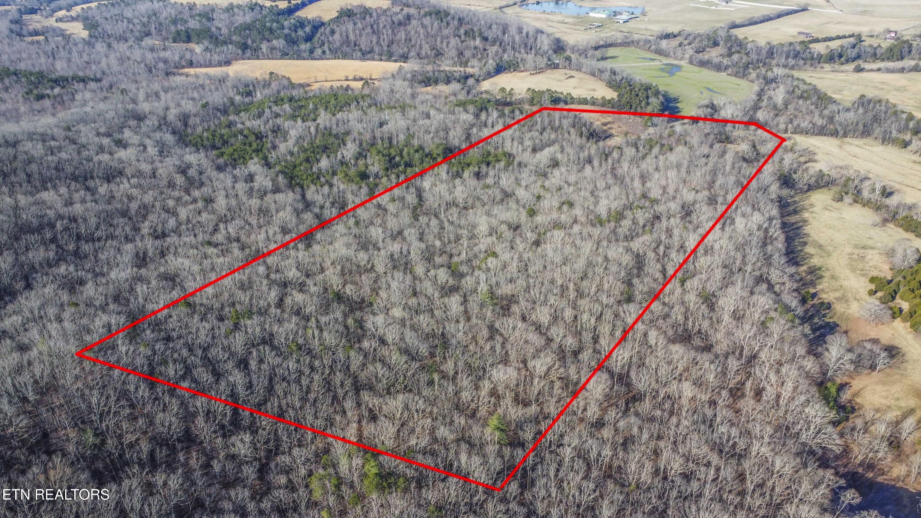259 Sherman Road Ten Mile, TN 37880 - Photo 51 of 51 drone 16_1