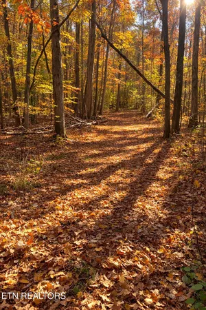 $725,000 | 259 Sherman Road, Ten Mile, TN 37880
