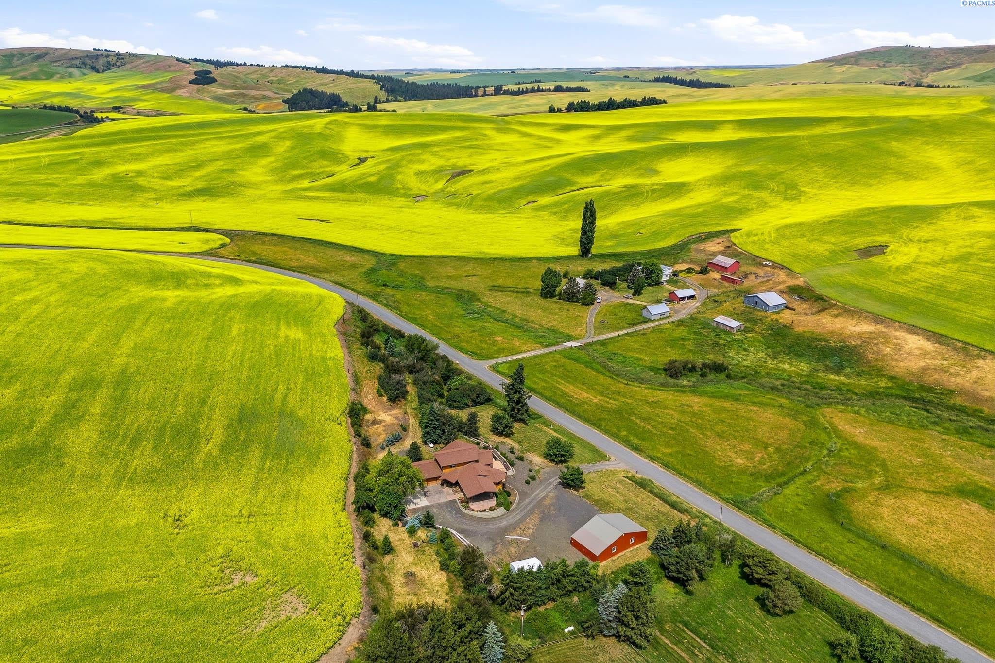 3802 Palouse Albion Road Pullman, WA 99163 - Photo 44 of 50 Gallery Image 44
