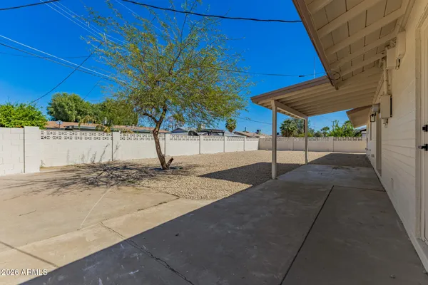 a view of a backyard