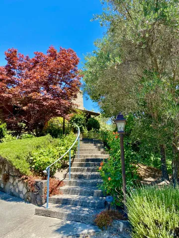 a backyard of a house with lots of green space