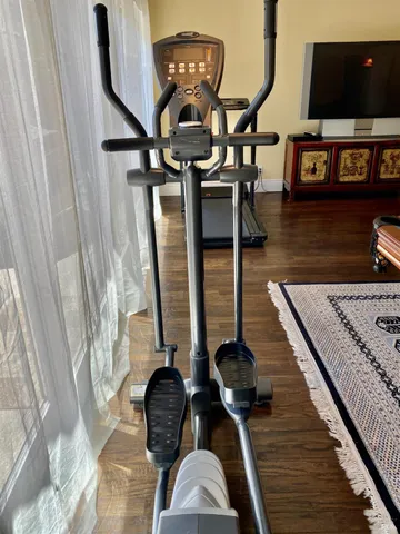 a view of a yard with plants