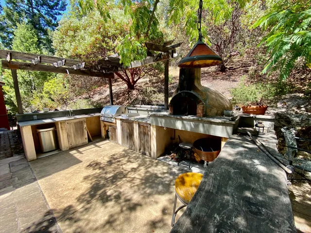 a view of a patio with a dining table and chairs with a barbeque grill and plants