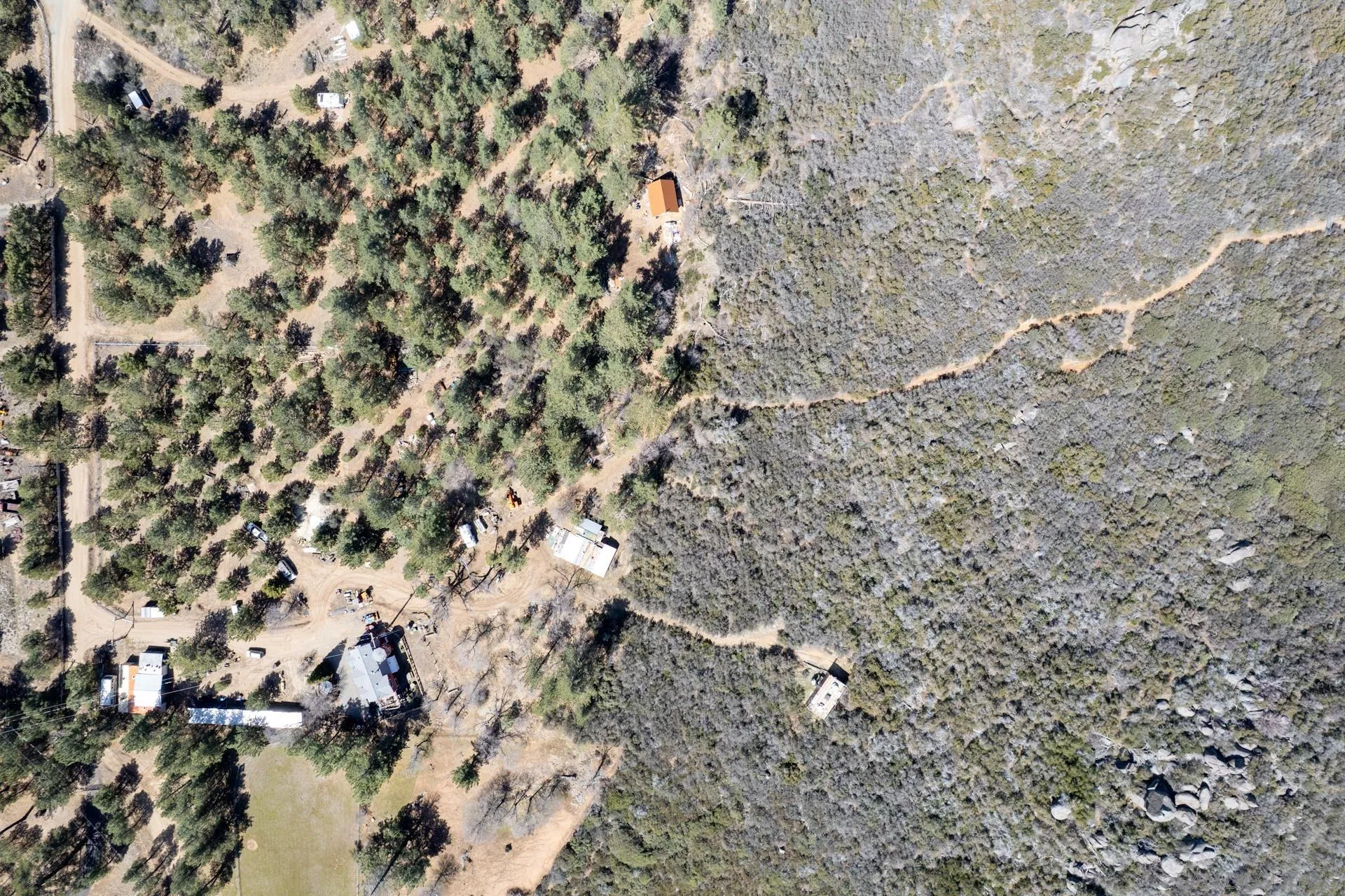 8203 Morris Ranch Road Pine Valley, CA 91962 - Photo 36 of 42 a view of tree