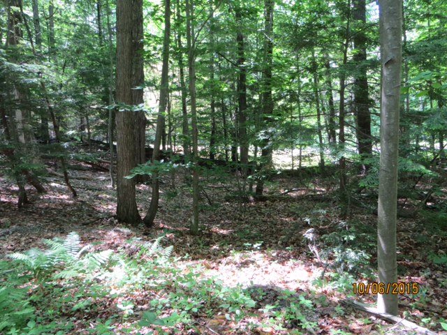 4 Poocham Road Westmoreland, NH 03467 - Photo 4 of 7