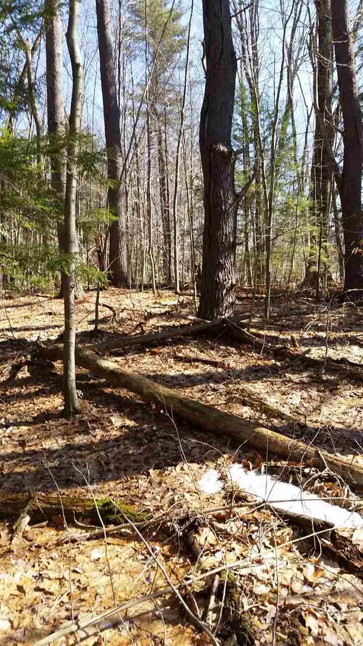 4 Poocham Road Westmoreland, NH 03467 - Photo 5 of 7