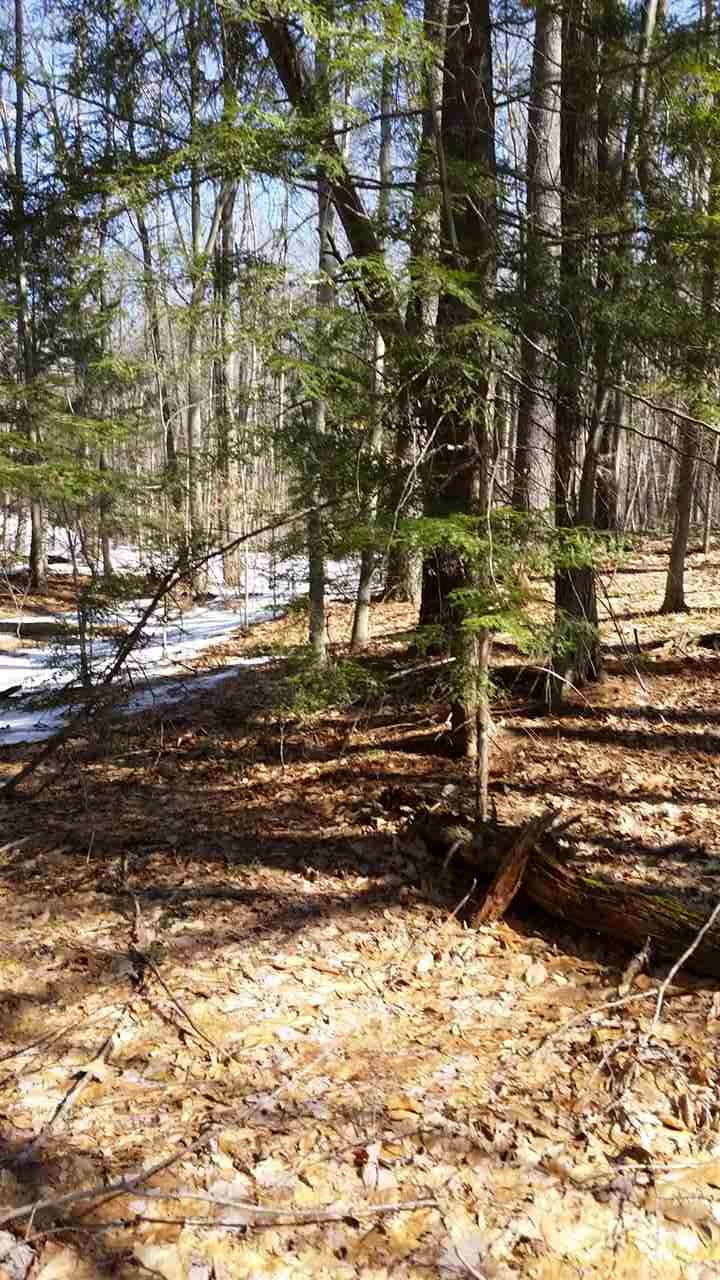 4 Poocham Road Westmoreland, NH 03467 - Photo 6 of 7