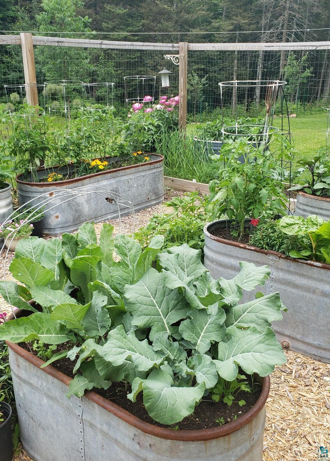 5667 Lester River Road Duluth, MN 55804 - Photo 29 of 35 Summer Gardens