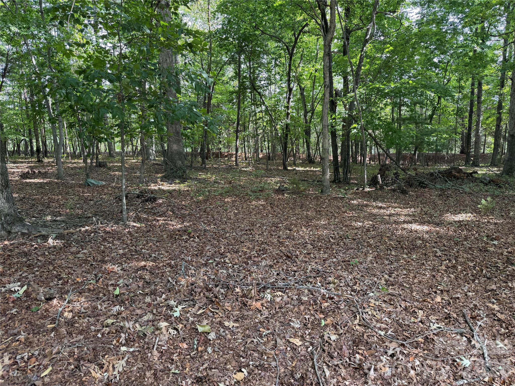 556 Gilbert Road Columbus, NC 28722 - Photo 8 of 15