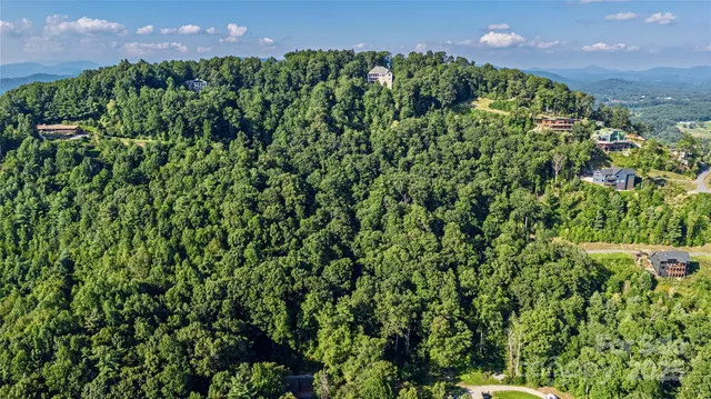 a view of a garden with a building
