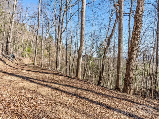 a view of a back yard of the house