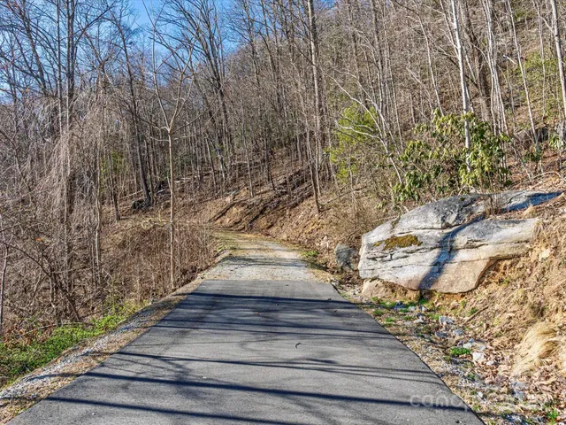 a view of pathway along with yard