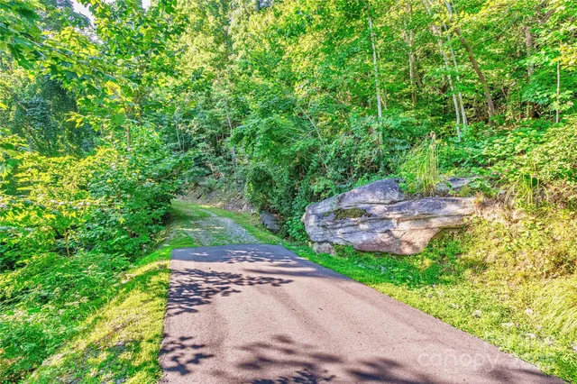 a view of a street with a plants and large trees