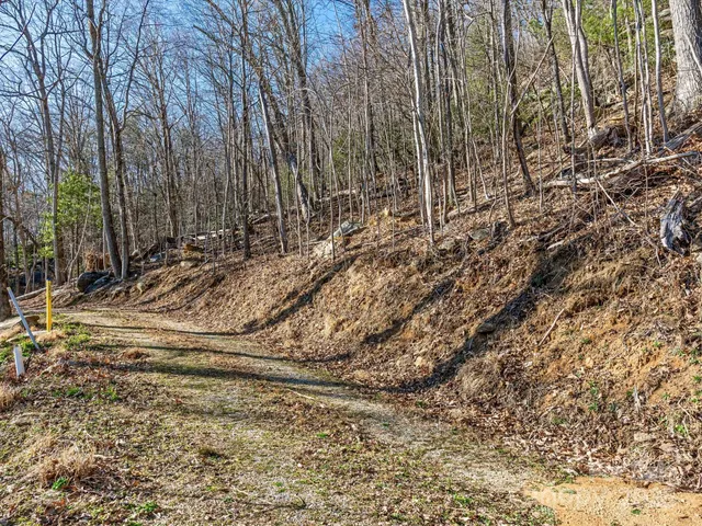 a view of a yard with trees