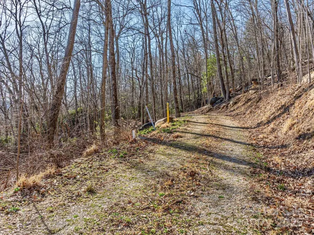 a view of a backyard with trees