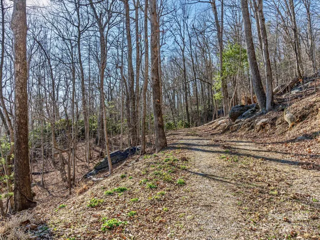 a view of a backyard of a house