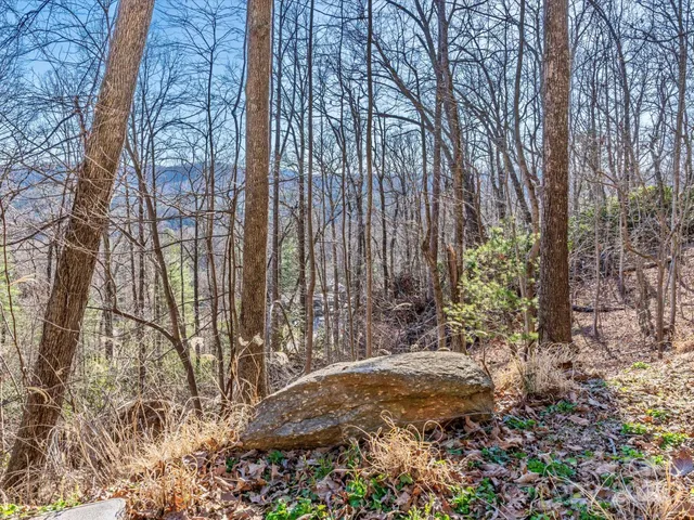 a view of outdoor space and covered with trees