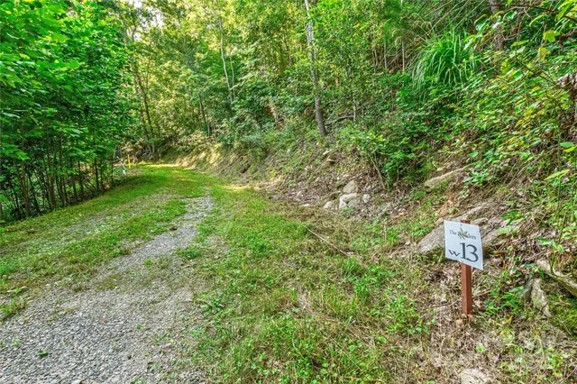 a view of a big yard with plants and large trees