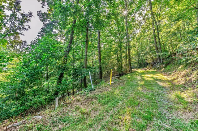 a big yard with lots of green space and trees