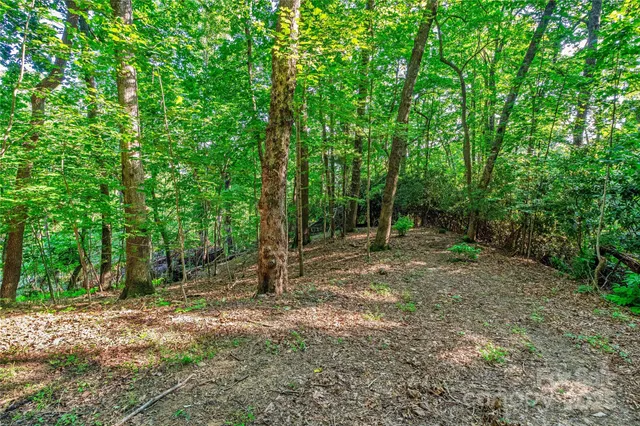 a view of outdoor space and trees