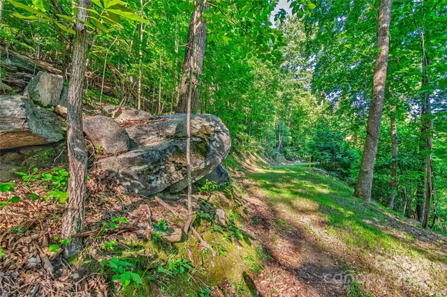 a backyard of a house with lots of green space