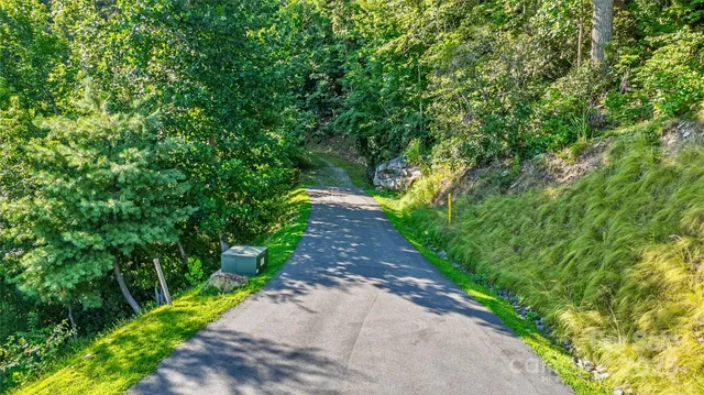 a view of a pathway both side of yard