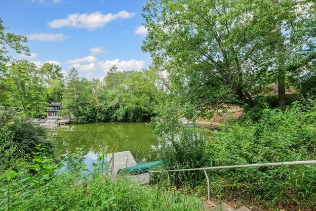 a view of a backyard with large trees