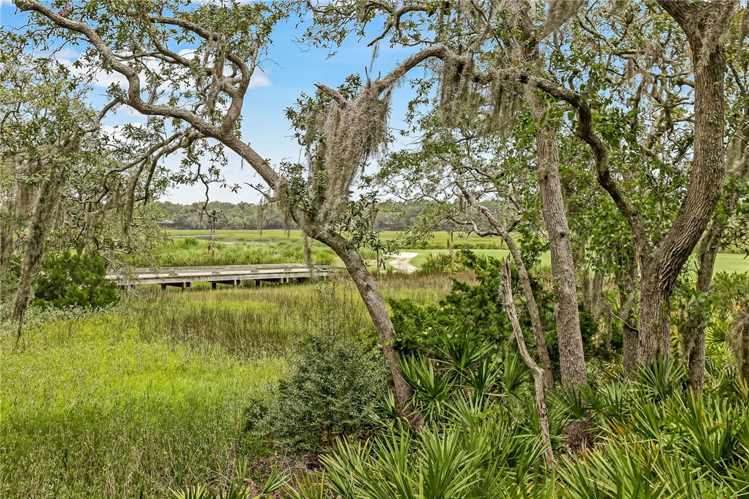 1 Sandhill Crane Road Fernandina Beach, FL 32034 - Photo 4 of 35 Gallery Image 4