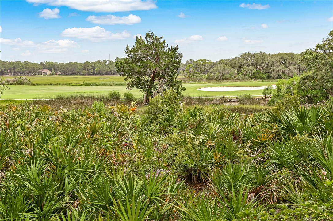 1 Sandhill Crane Road Fernandina Beach, FL 32034 - Photo 5 of 35 Gallery Image 5
