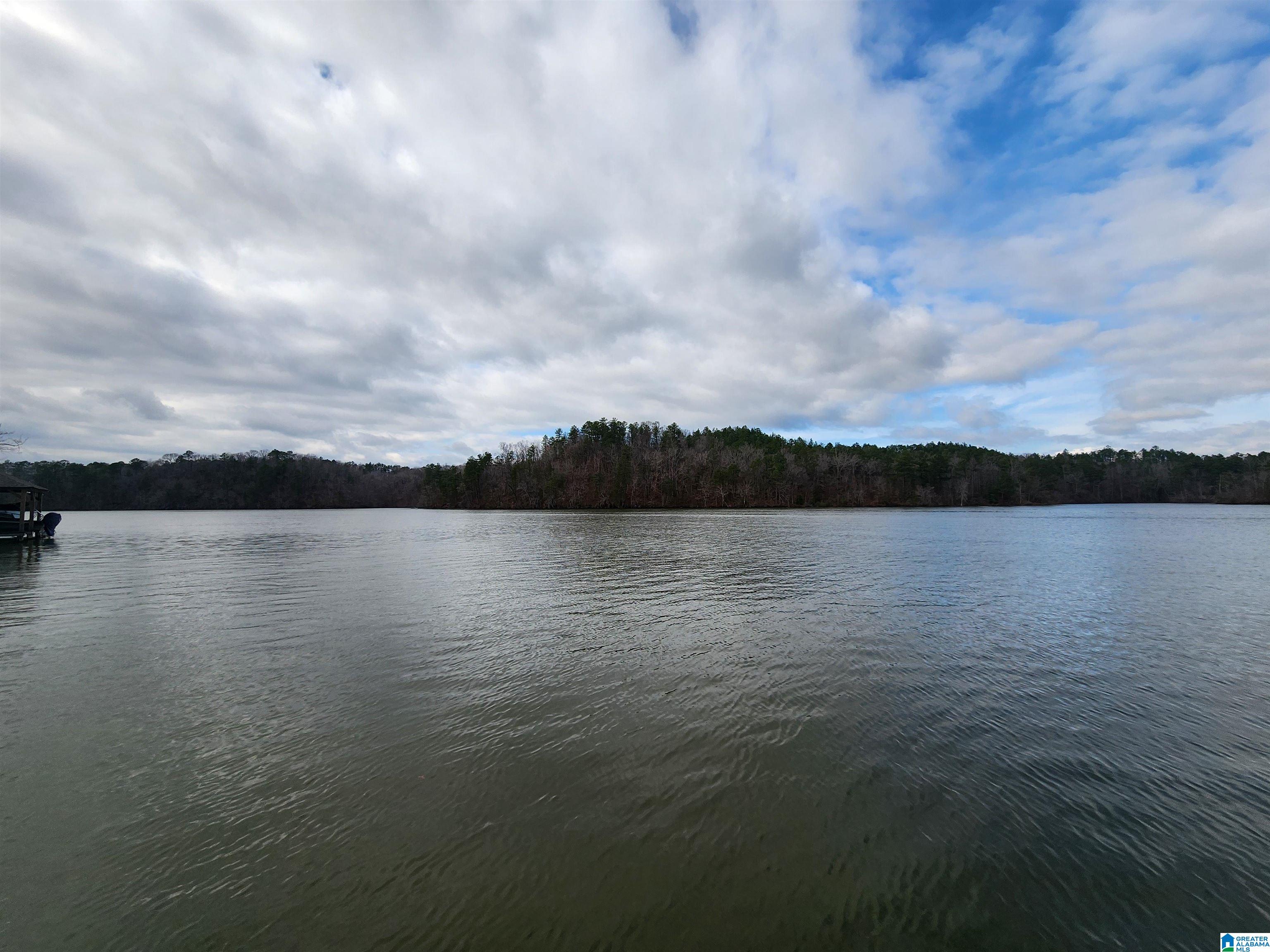 Lot 8 Eagle Point Road, Unit 1 Alexander City, AL 35010 - Photo 6 of 14