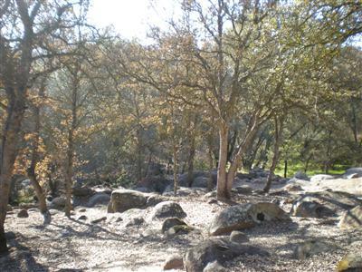 40924 Harris Road Springville, CA 93265 - Photo 26 of 32 A pastoral view of another part of the p