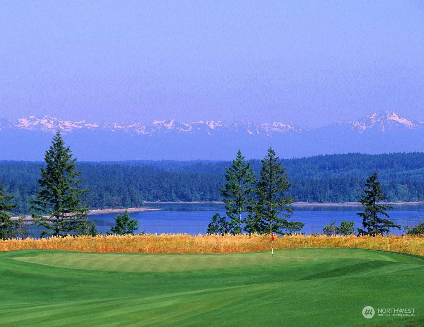 2280 Simmons Street, Unit A DuPont, WA 98327 - Photo 25 of 25 a view of a golf course with a lake