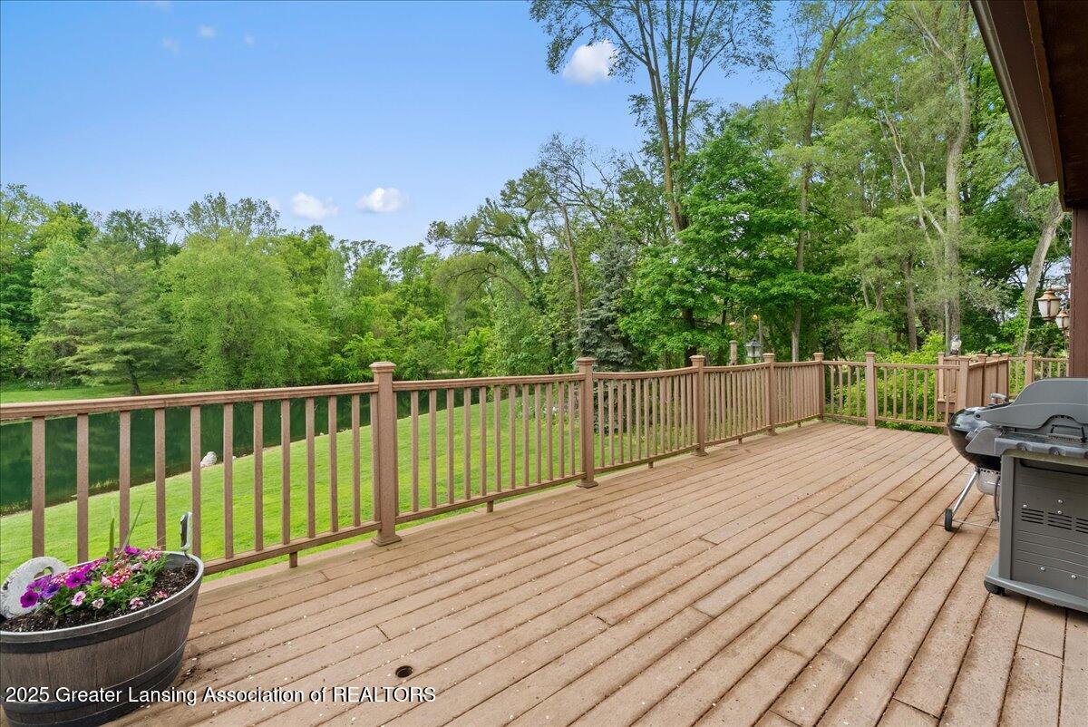 4582 North Watson Road Elsie, MI 48831 - Photo 37 of 62 51-Media Jett - 43