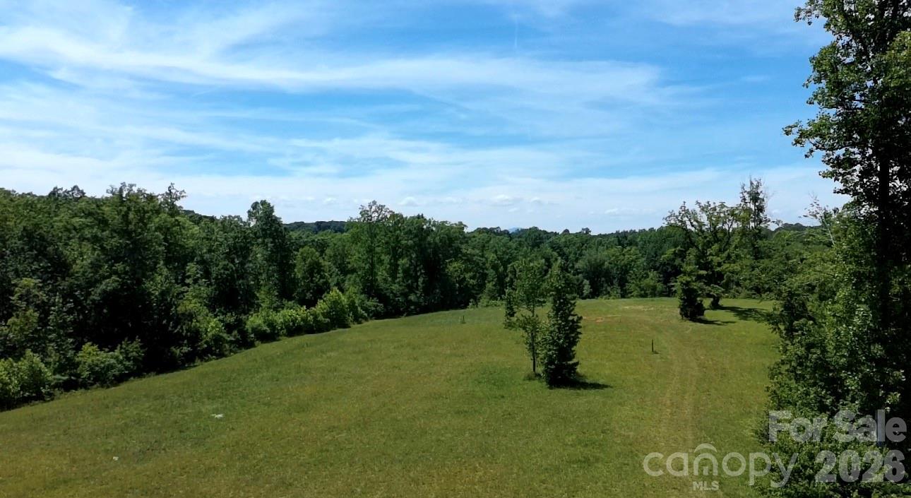 473 McEntire Road Tryon, NC 28782 - Photo 10 of 18