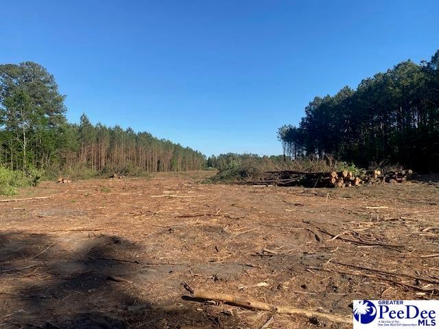 Tbd Newberry Road Lamar, SC 29069 - Photo 7 of 15 Gallery Image 7