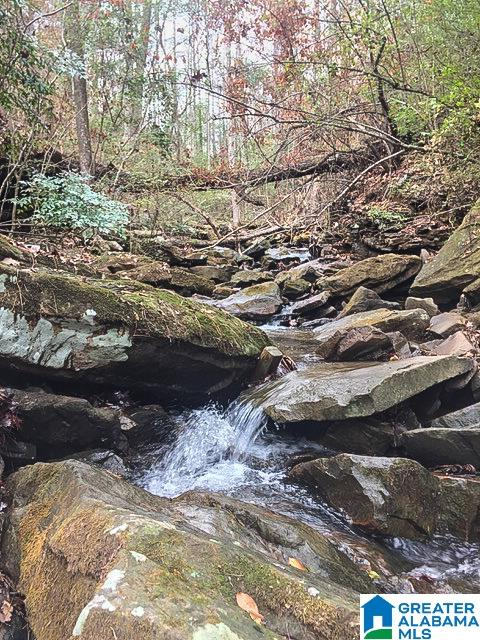 3709 Forest Run Road Birmingham, AL 35223 - Photo 10 of 49
