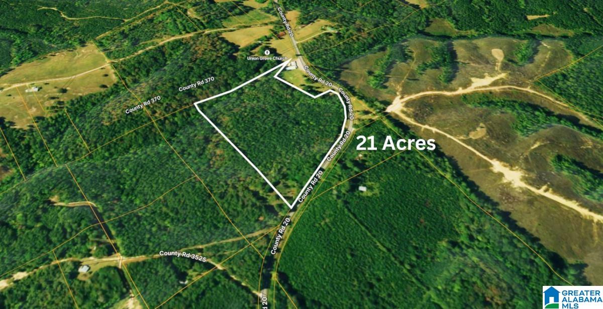 20 County Road Haleyville, AL 35565 - Photo 13 of 17