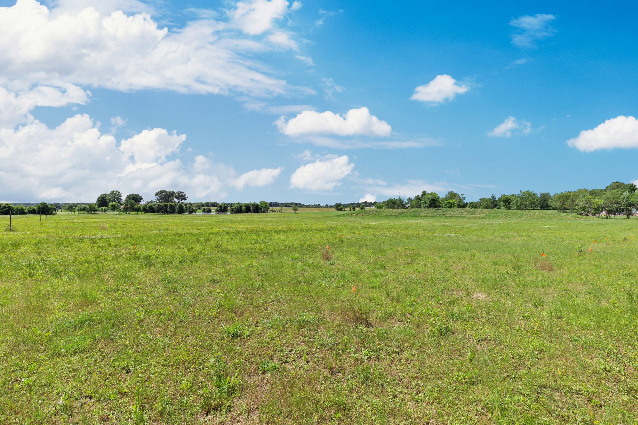 7727 Boyles Road White House, TN 37188 - Photo 4 of 4 Gallery Image 4